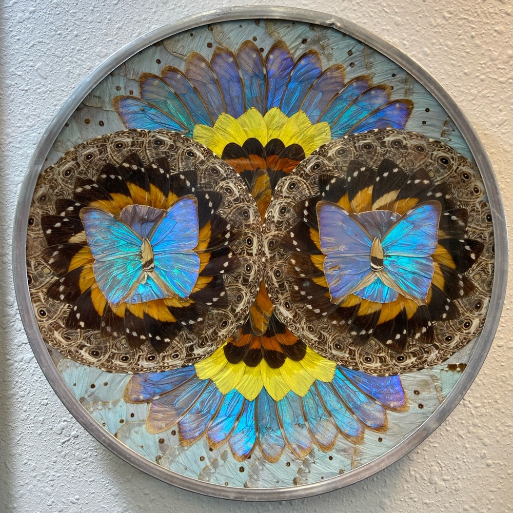 Meet your Posher, Cieann